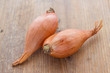 Shallot