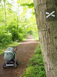 Wanderweg im Wald