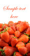 Fresh strawberries isolated, with room for text