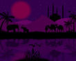 Bedouin camel caravan and elephants