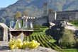 Foto: Pair of wineglasses and grapes. Bellinzona, Switzerland Pair of wineglasses and grapes. Bellinzona, Switzerland