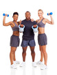 group of young adult exercising