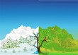Vektor: zima – lato zima – lato