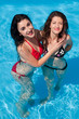 Swimming-pool friends