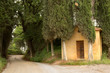 Foto: Forest chapel in Tuscany Forest chapel in Tuscany