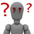 The questions