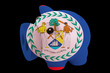 Foto: piggy rich bank in colors national flag of belize for saving m piggy rich bank in colors national flag of belize for saving m