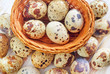 quail eggs