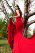 A beautiful brunette in red dress