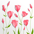 Flower vector background. Pink eustoma