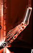 Illustration: Leg bone Leg bone