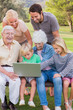 Happy multi-generation family in the park using laptop