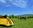tent and horses