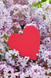 Herz in Fliederblüten
