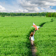 cute little girl flies a kite