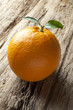 still life of orange.
