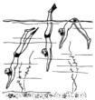 Divers in the water