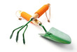 garden tools