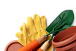 garden tools