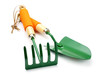 garden tools