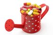 Photo: tabletten in giesskanne tabletten in giesskanne