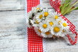 Kleiner Blumenstrauß aus Gänseblümchen