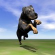 Rottweiler dog jumping - 3D render