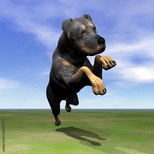 Illustration: Rottweiler dog jumping - 3D render Rottweiler dog jumping - 3D render