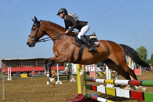 Photo: horse jumping horse jumping