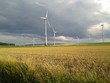 Photo: Windrad/Winpark im Kornfeld Windrad/Winpark im Kornfeld