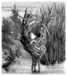Illustration: Bird in it's Nest - Nid d'Oiseau - Fondia Erythrops Bird in it's Nest - Nid d'Oiseau - Fondia Erythrops