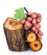 Stack of cut logs fire wood from tree and wooden grape bunch iso