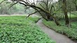 countryside landscape with river