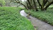 countryside landscape with river