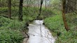countryside landscape with river