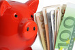 sparschwein mit euro