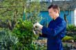 Young man pruning ivy