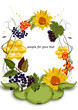 Sanddorn, Holunder, Sonnenblume Illustration