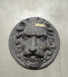 Lion classic architectural element hanging on garden wall