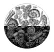 Microscopic Fossils in Chalk