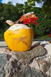 eau de coco de vacances