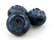 Photo: Blueberry with waterdrops Blueberry with waterdrops