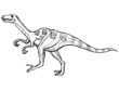 velociraptor