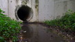 water pollution