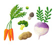 Vegetable