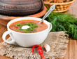Borsch, soup from a beet and cabbage with tomato sauce.