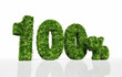 Illustration: one hundred percent full of grass and flowers one hundred percent full of grass and flowers
