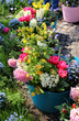 Sunny terrace with a lot of flowers
