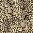 Wild Cat Couple