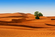 Desert of North Africa, sandy barkhans